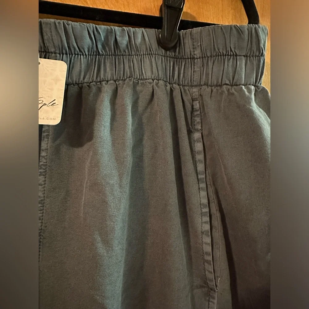 Free People preppy Poplin pull on pants, size XL, NWT - Picture 7 of 8